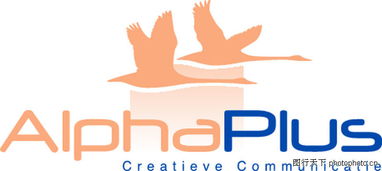 全球廣告設(shè)計(jì)公司矢量標(biāo)志0065 飛鳥元素與創(chuàng)意設(shè)計(jì)的完美融合