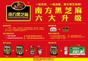 跨界之光 從設(shè)計(jì)到軟件開(kāi)發(fā)的學(xué)習(xí)之旅