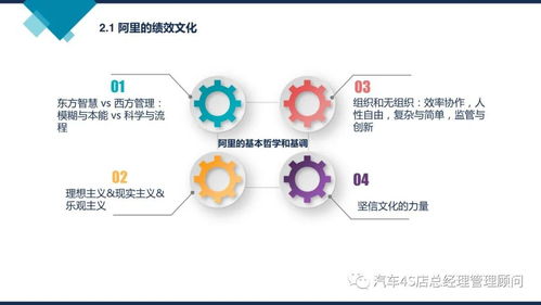 阿里巴巴組織能力建設(shè)的核心密碼 從文化、戰(zhàn)略到人才的三維驅(qū)動